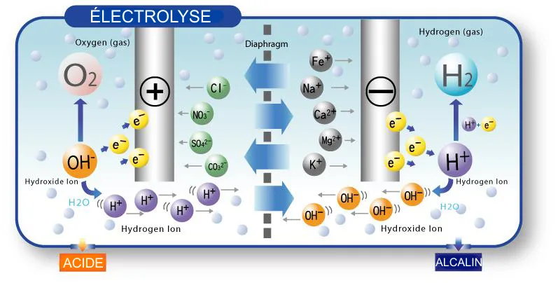 ELECTROLYSE-IONISEUR-EAU-AQUALIFE